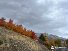 Mill Creek Canyon-盐湖城