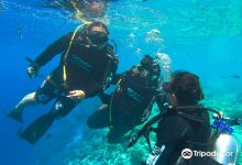 Ocean Junkies Dive Centre景点图片