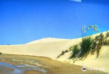 Giant Sand Dunes景点图片