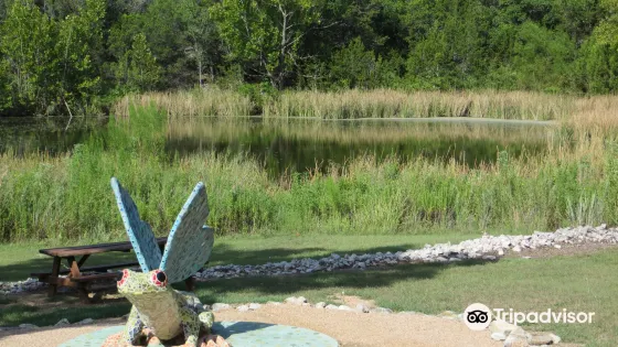 Bee Cave Sculpture Park