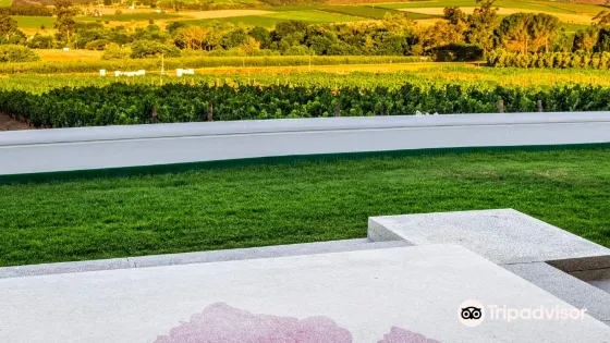 Beyerskloof Tasting Room