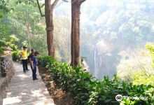 Rainbow Waterfall景点图片