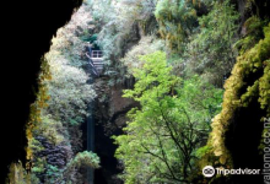 Waitomo Adventures景点图片
