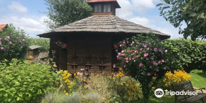 Krapje Bee - keeping Museum
