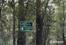 Beenak G180 Bushland Reserve景点图片