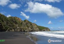 Waikawau Beach景点图片