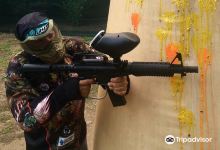 Paintball Falco景点图片