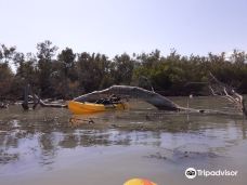 Domaine de la Palissade-阿尔勒