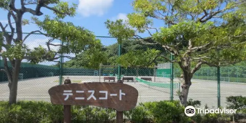 あんずの裏運動公園