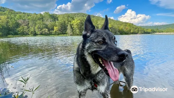 Lake Leatherwood