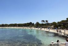 Playa dels Estanys景点图片