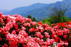日本最大 鹿屋玫瑰园-鹿屋市