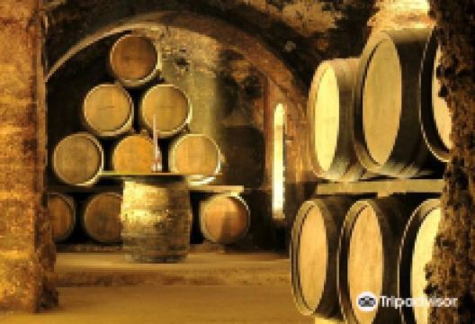 Bodegas Carlos San Pedro Perez de Vinaspre景点图片