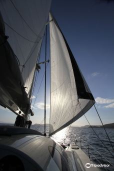 Ricochet Yachting-汉密尔顿岛