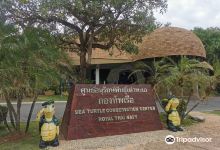 Royal Thai Navy Sea Turtle Conservation Center景点图片