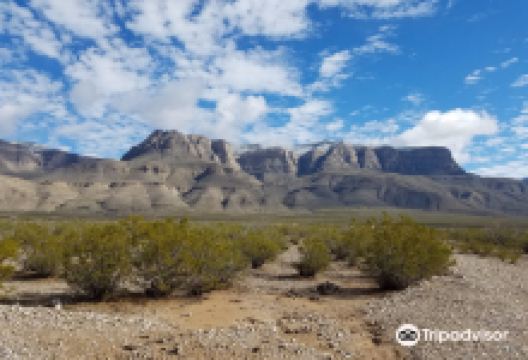 Oliver Lee Memorial State Park景点图片