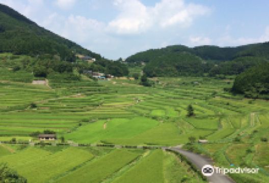 Ohaganishi Rice Terraces景点图片