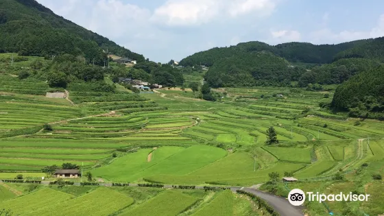 Ohaganishi Rice Terraces
