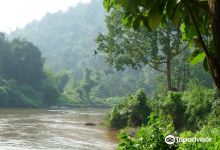 Nongkhyllem wildlife sanctuary景点图片