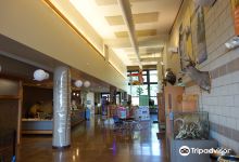 Hickory Knolls Discovery Center景点图片