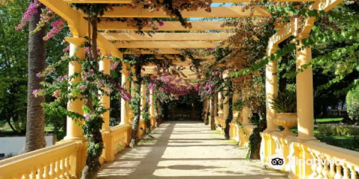 唐·佩德羅王子城市公園