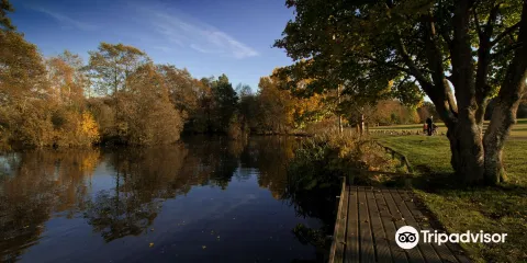 Peatlands Park