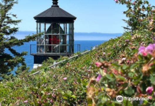 Cape Meares Lighthouse景点图片