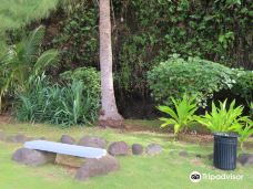 阿拉吼吼喷泉口-Tiarei