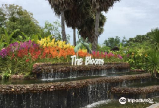 The Blooms Orchid Park景点图片