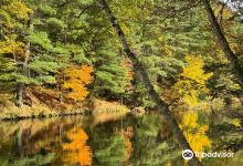 Wildcat Falls Conservation Area景点图片