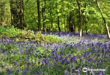 Saltwells Local Nature Reserve景点图片