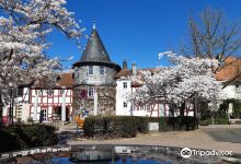 Burggrabenzeile mit "Türmchen"景点图片