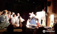 Luts'ka city council