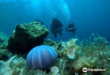 Nikiti Diving Center购物图片