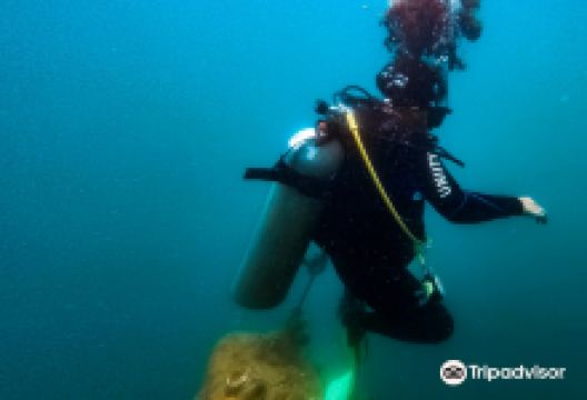 Umali Dive Center Corporation购物图片