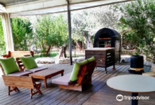The Markovitch Cheese Farm - Eretz Zavat Chalav景点图片