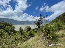 Empakaai Crater-恩戈罗恩戈罗