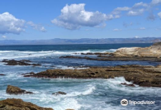 Bluff Trail景点图片