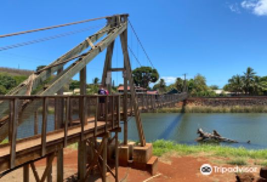 摇摇桥景点图片