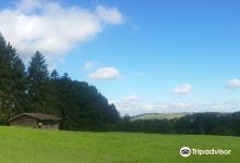 East Carlton Country Park景点图片