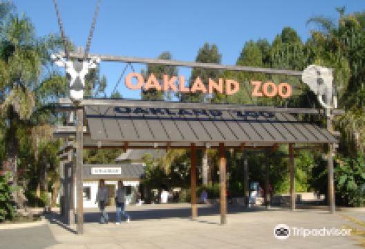 奥克兰动物园景点图片