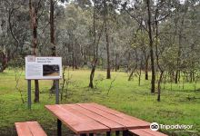 Pines Conservation Reserve景点图片