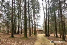 Foret de Chabrieres景点图片