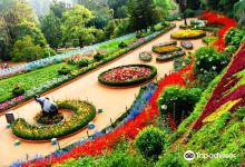 Botanical Gardens景点图片