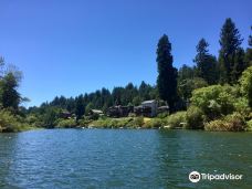 Johnson's Beach-盖尔南韦尔