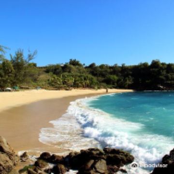 埃斯孔迪多港图片