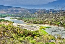 Cerros de Amotape National Park景点图片