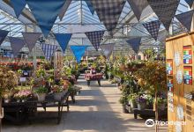 Port Sunlight Garden Centre购物图片