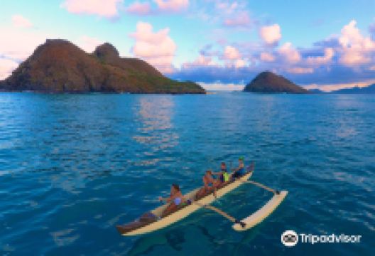 Hawaiian Paddle Sports - Kailua景点图片