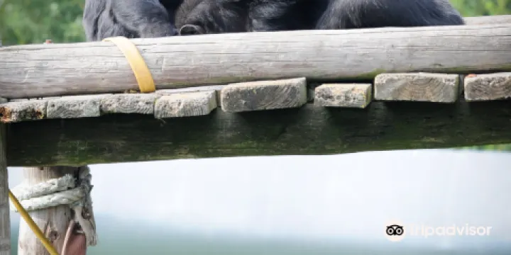 Fundació Mona, Centre de Recuperacio de Primats